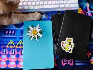 Dos cuadernos uno negro con una pegatina de un pokemon y otro azul con una pegatina de una flor. Que utiliza Eleazar para sus historias.